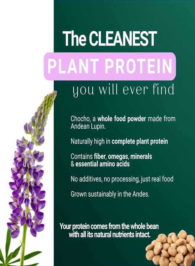 SEED Chocho Pure Plant-Based Protein Powder, Gluten Free, Dairy Free, Soy Free, Non-GMO, 17.6 oz - Image 2